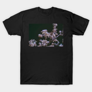 Spring blossom T-Shirt